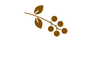 Misto Vending - Çekirdek Kahve ile Otomat Hizmetleri